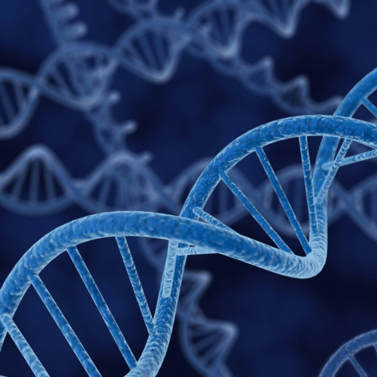 Introduction To Genetics And Evolution Coursera - City Wallpaper Collection - Full HD Quality