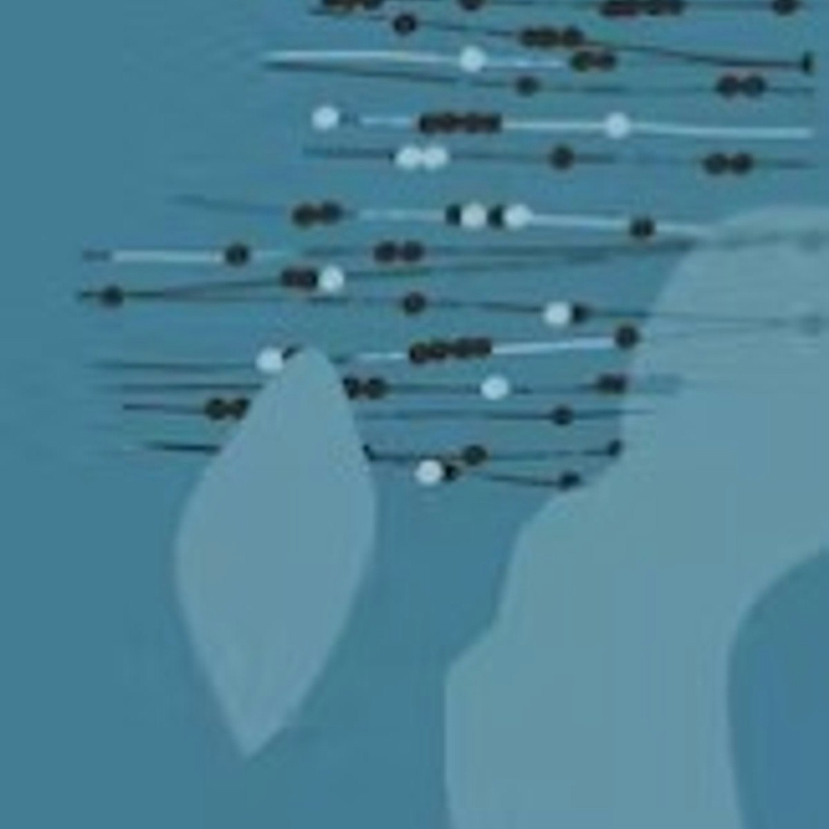 Deep Learning Models Sequence Models Oracle Cloud Infrastructure - City Picture Collection - High Resolution Quality