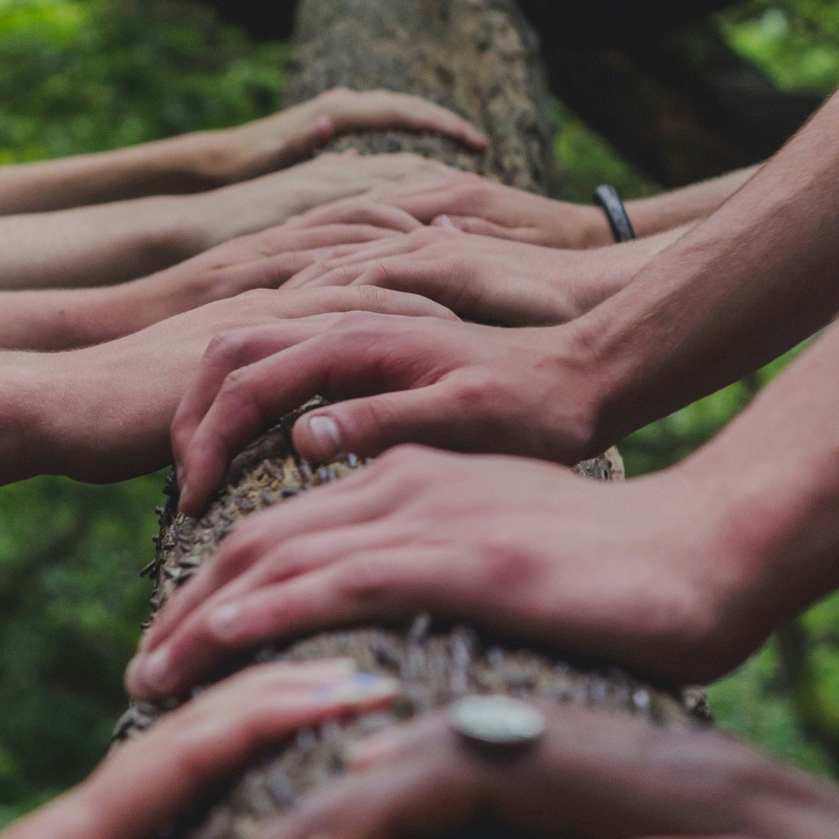 Coursera Project Execution Running The Project Pushpendra Chauhan - Geometric Wallpaper Collection - 8K Quality