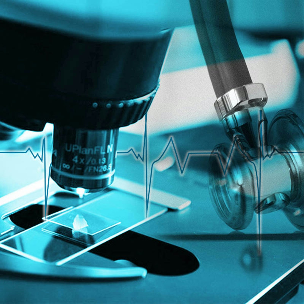 Translation In Practice Coursera - Creative Colorful Design - Desktop