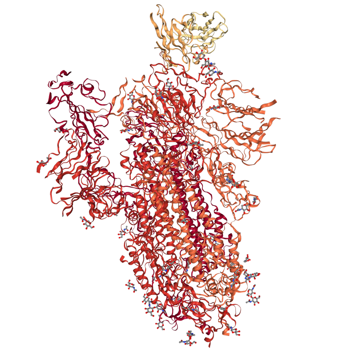 Wgs Bacteria Example 1 - Best Vintage Textures in Full HD