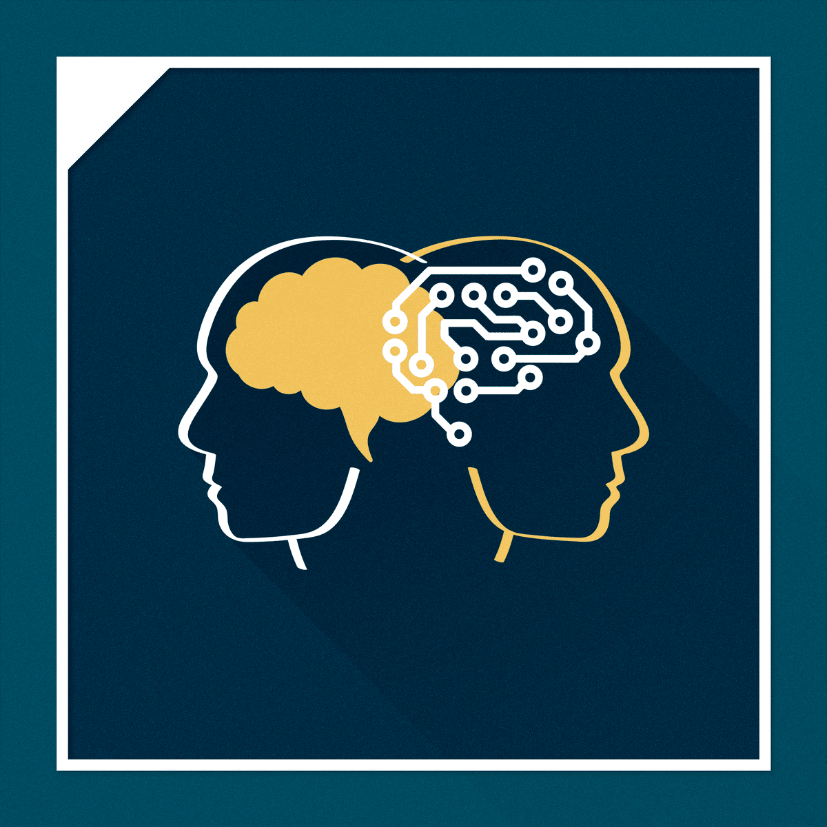 Learning Development Candoco - Colorful Designs - Professional Full HD Collection