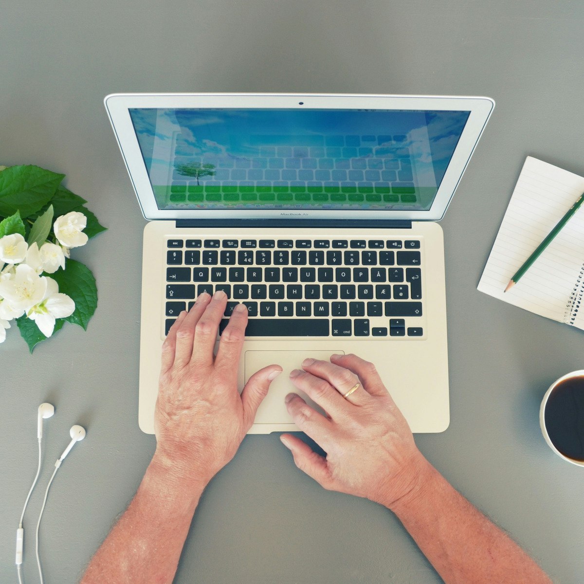 Adobe Spark Assignment Pdf - Download Ultra HD Landscape Design | 8K