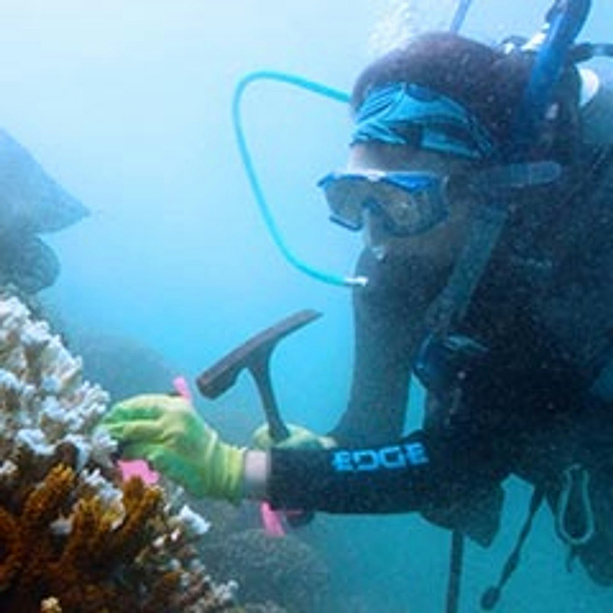 Exploring Oceanography Key Concepts And Features Course Hero - Incredible Mobile Colorful Pictures | Free Download