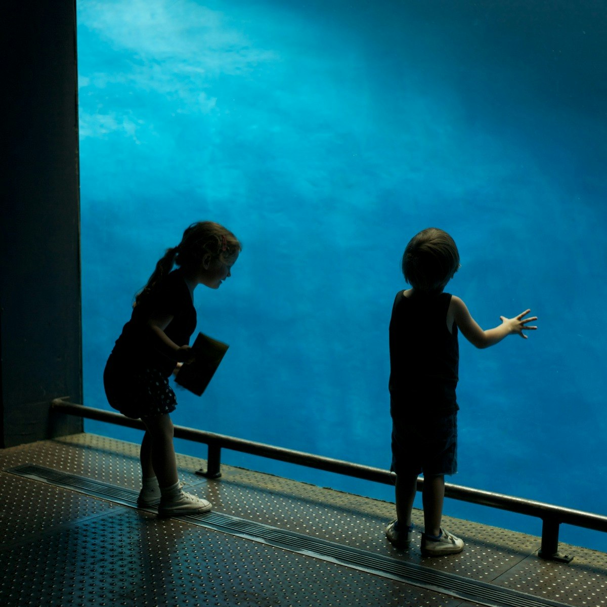 Child Development Courses - Desktop Nature Pictures for Desktop