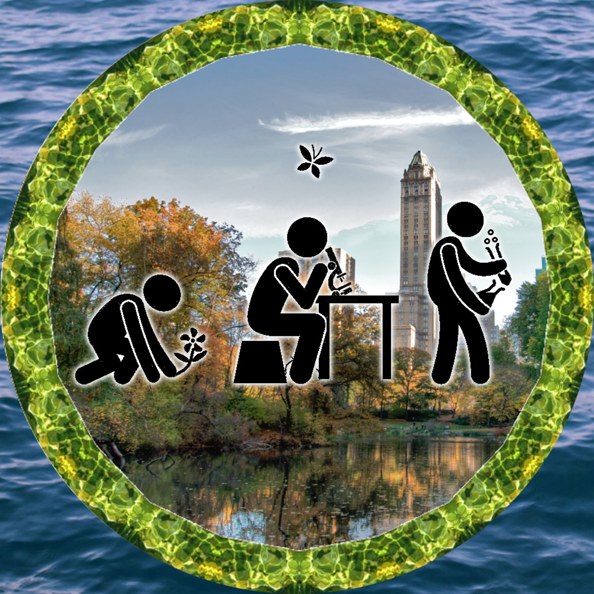 Evolution Online Courses Evolution - Download Artistic Landscape Pattern | Mobile