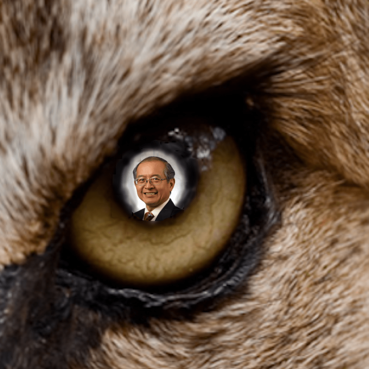 Ethical Hacking Coursera - Gorgeous Desktop Vintage Backgrounds | Free Download