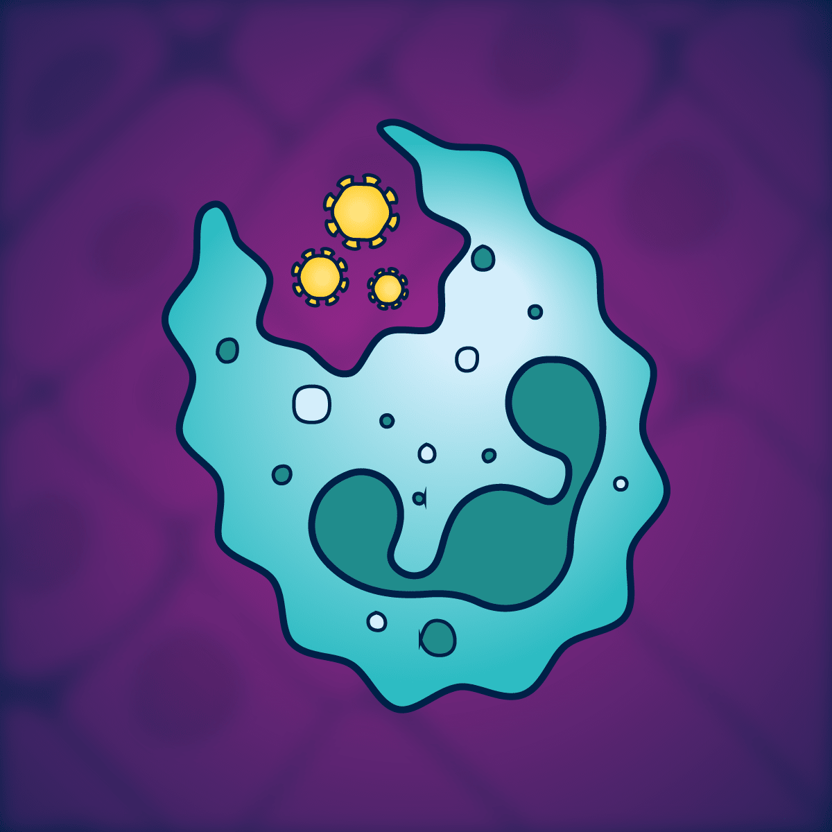 Core Immunology Modules Immunopaedia - Perfect Vintage Wallpaper - 4K