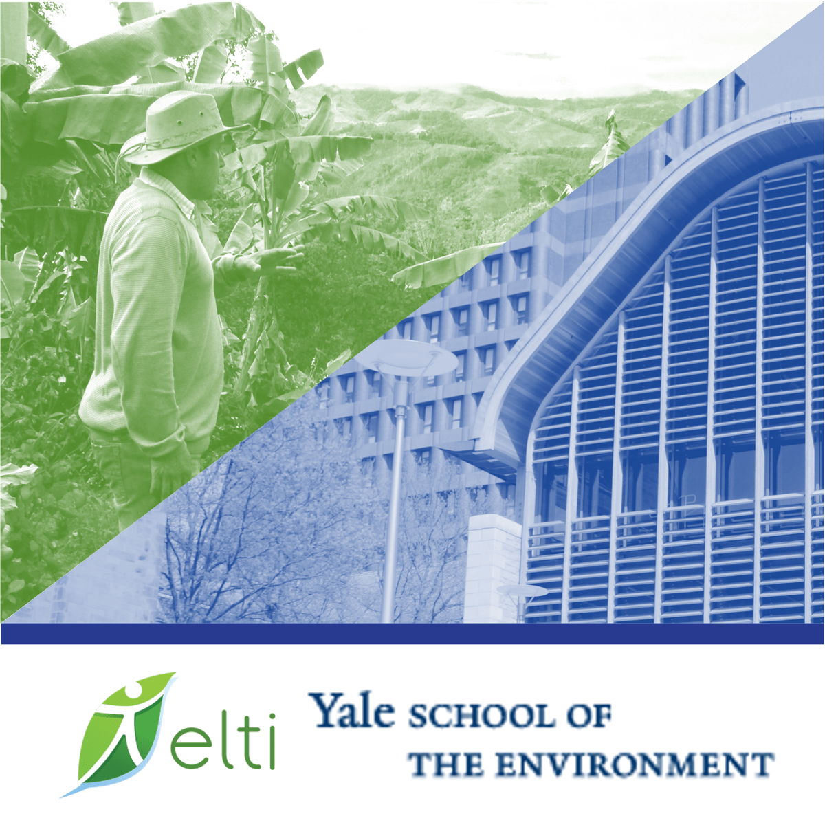 Environmental Science Excellence Program Learntopia - Premium Minimal Background Gallery - 4K