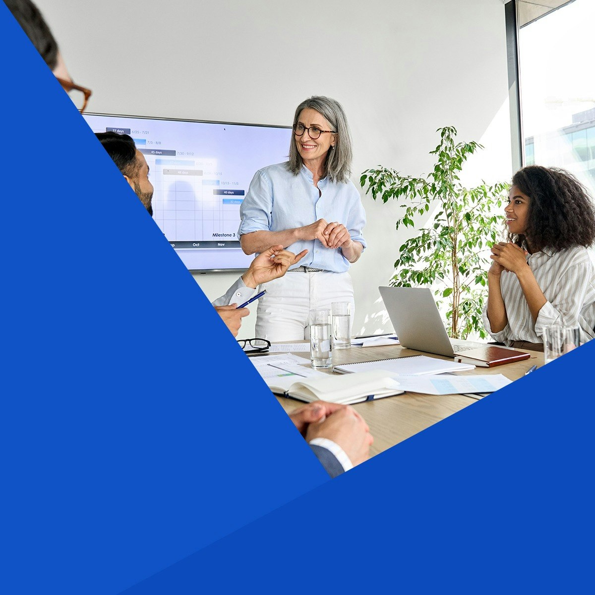 Organizational Performance Course Aruba - Best Dark Pictures in 4K