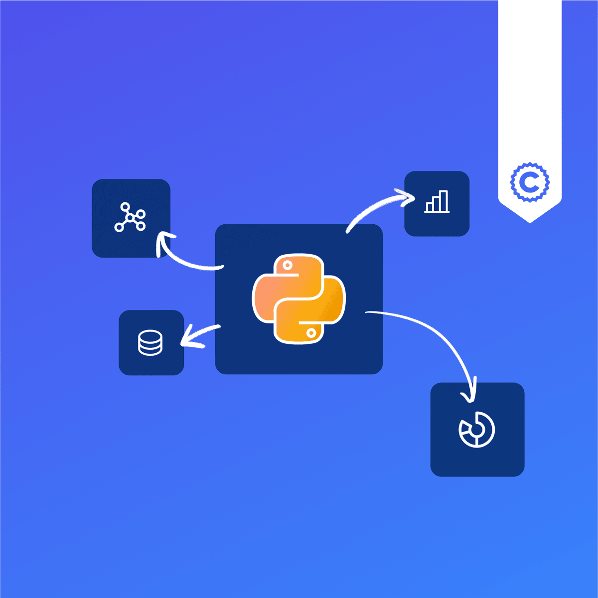 Best Python Excel Courses Certificates 2026 Coursera - Artistic Space Photo - Ultra HD