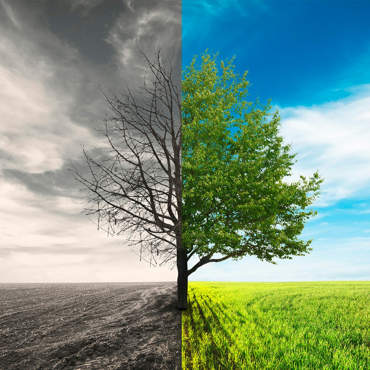 Conflict Management Course Stable Diffusion Online - Abstract Pattern Collection - Mobile Quality