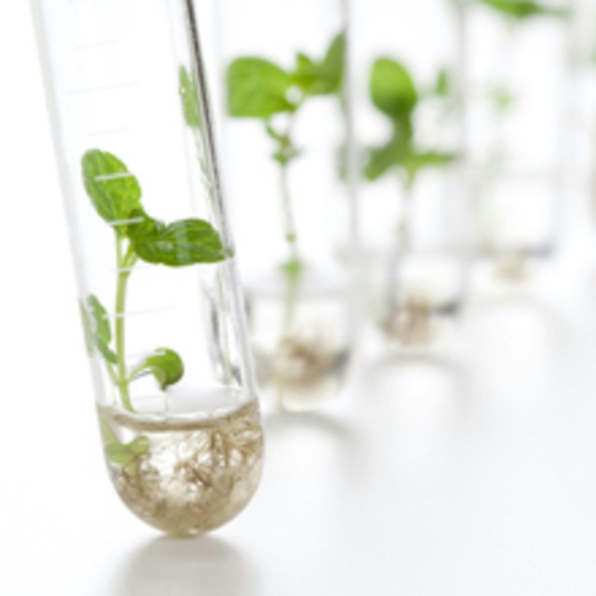 Qualitative Research Methods Coursera - Gradient Texture Collection - Ultra HD Quality