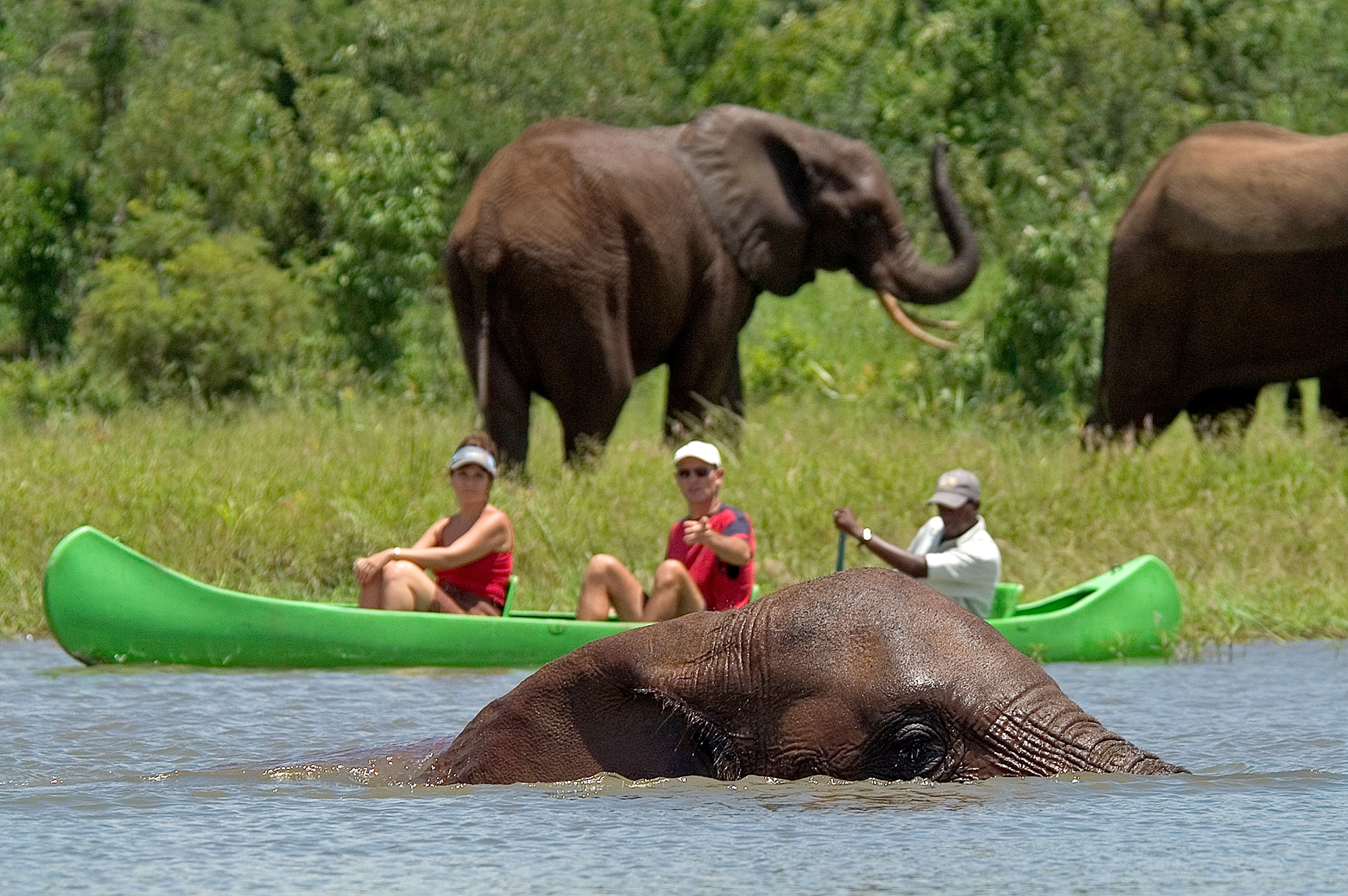 African Safari Adventure Travel