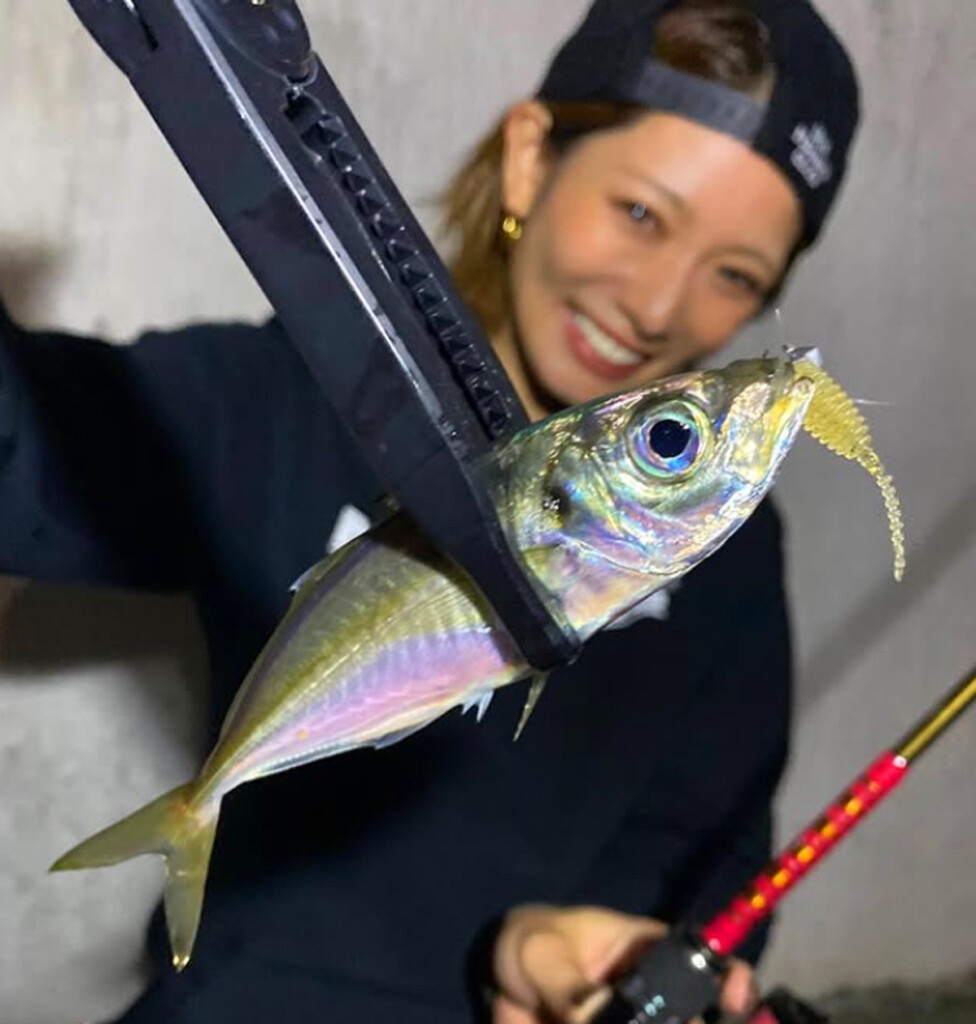アジメバの釣果テッパン】誰でも簡単にスロー攻めができる