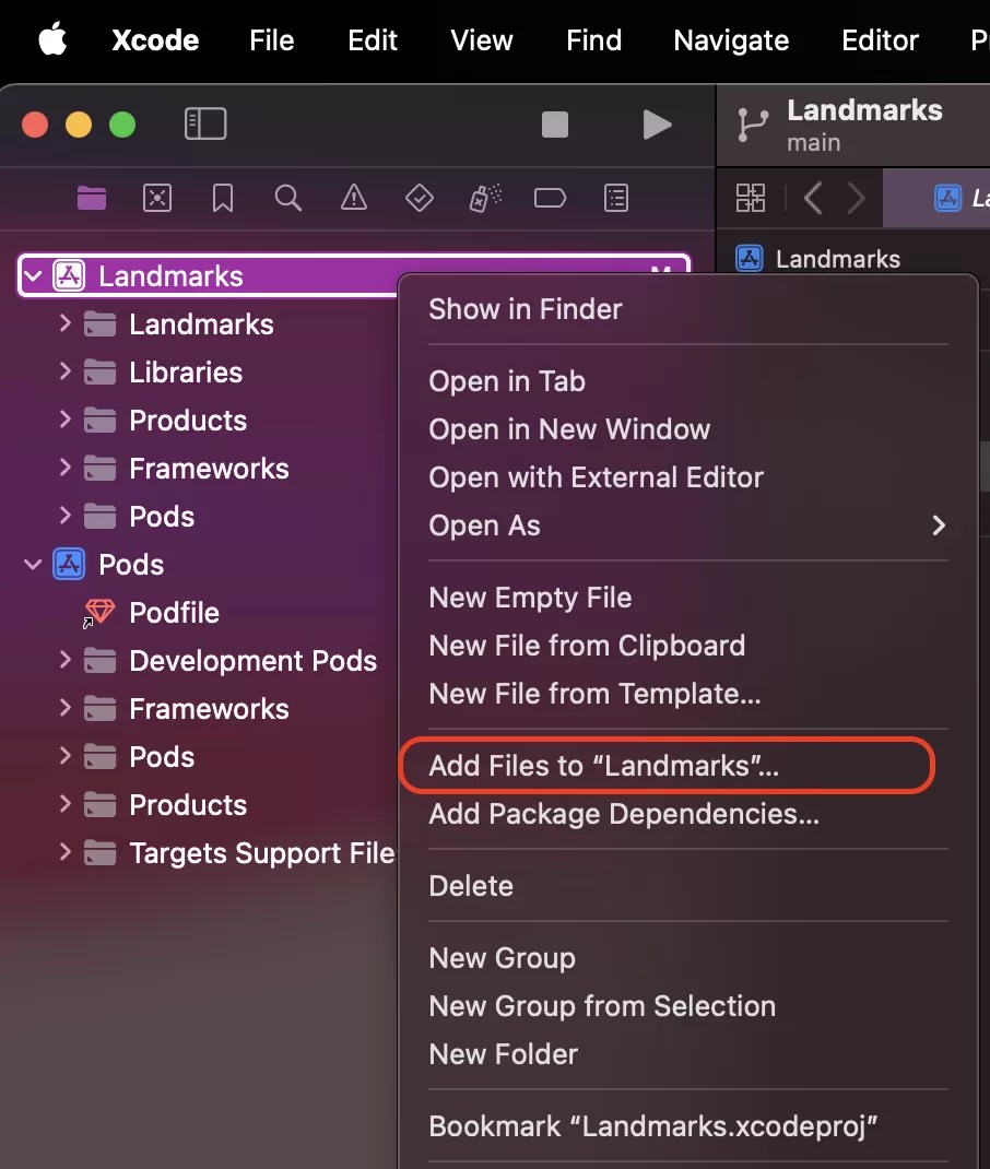 Xcode open, dropdown option select add files to app