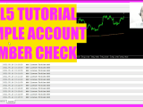 Mql5 Tutorial Basics Simple Account Check Mql5 Tutorial