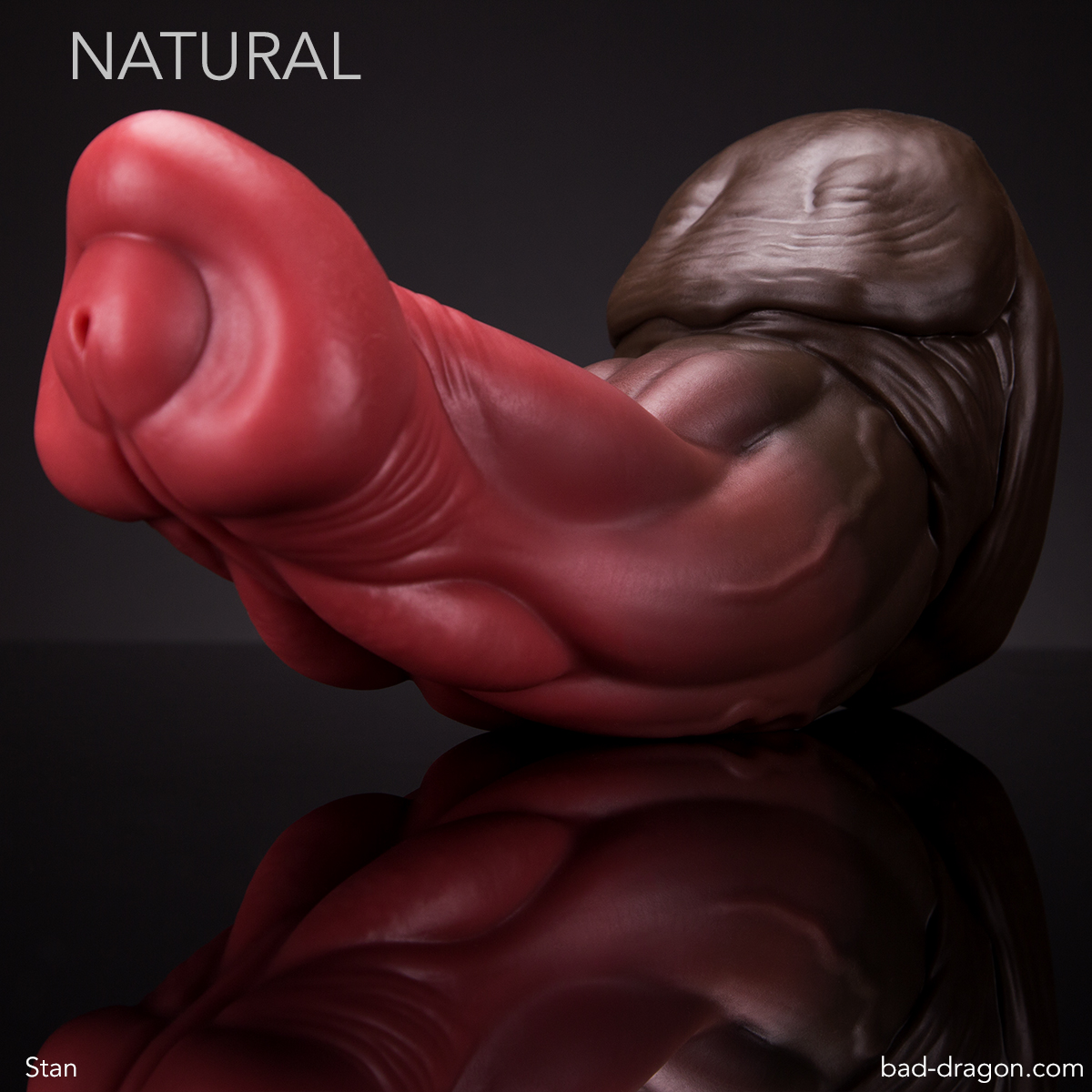 17 Huge-Dildo-Thick-Girth-Dong-Large-Wide-Thick-Realistic-Flesh-Big-Giant-Cock  | eBay