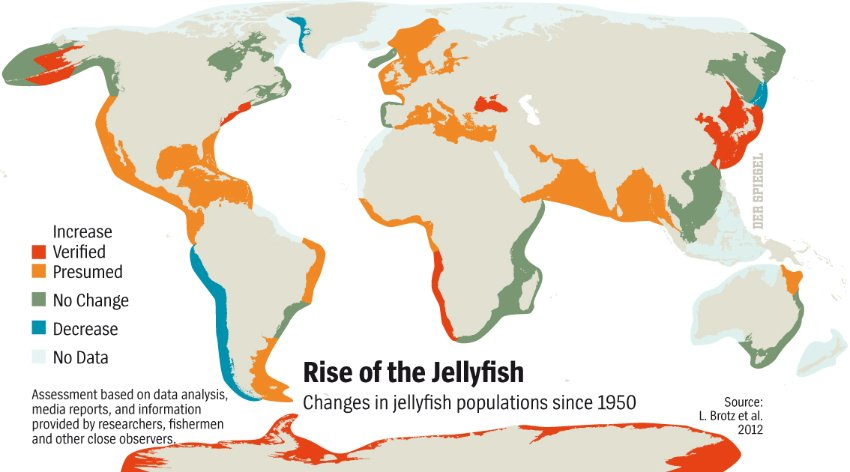 Mapping Jelly Fish Musings On Maps 