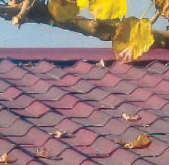 Flachdach Gartenhaus Abdichten Tipps Und Anleitung