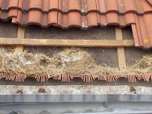 50 X Vogelkamm Dachziegel Gap Filler 1 Meter Dachverkleidung Traufe Vogelschutz Amazon De Baumarkt