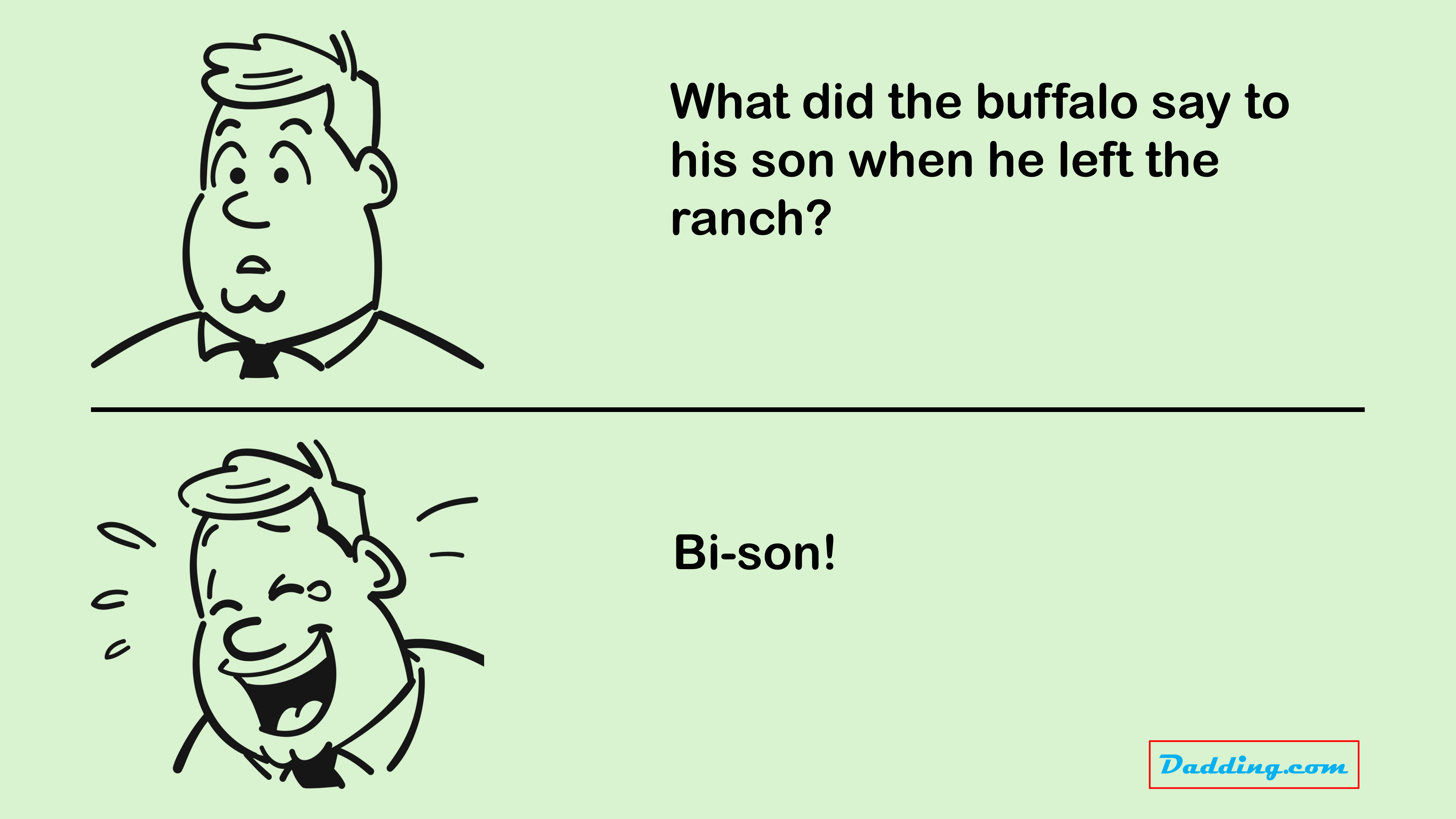 What did the buffalo say to his son when he left?