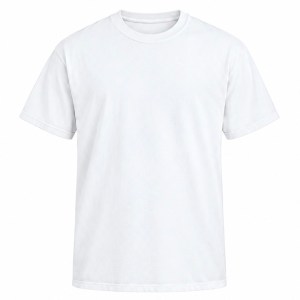 White T-Shirt