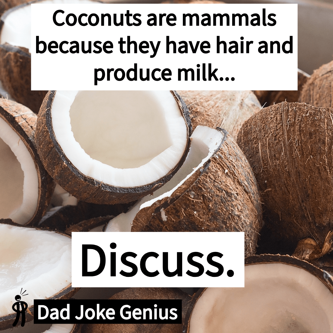 Coconuts are mammals because they have hair and produce milk... Discuss.