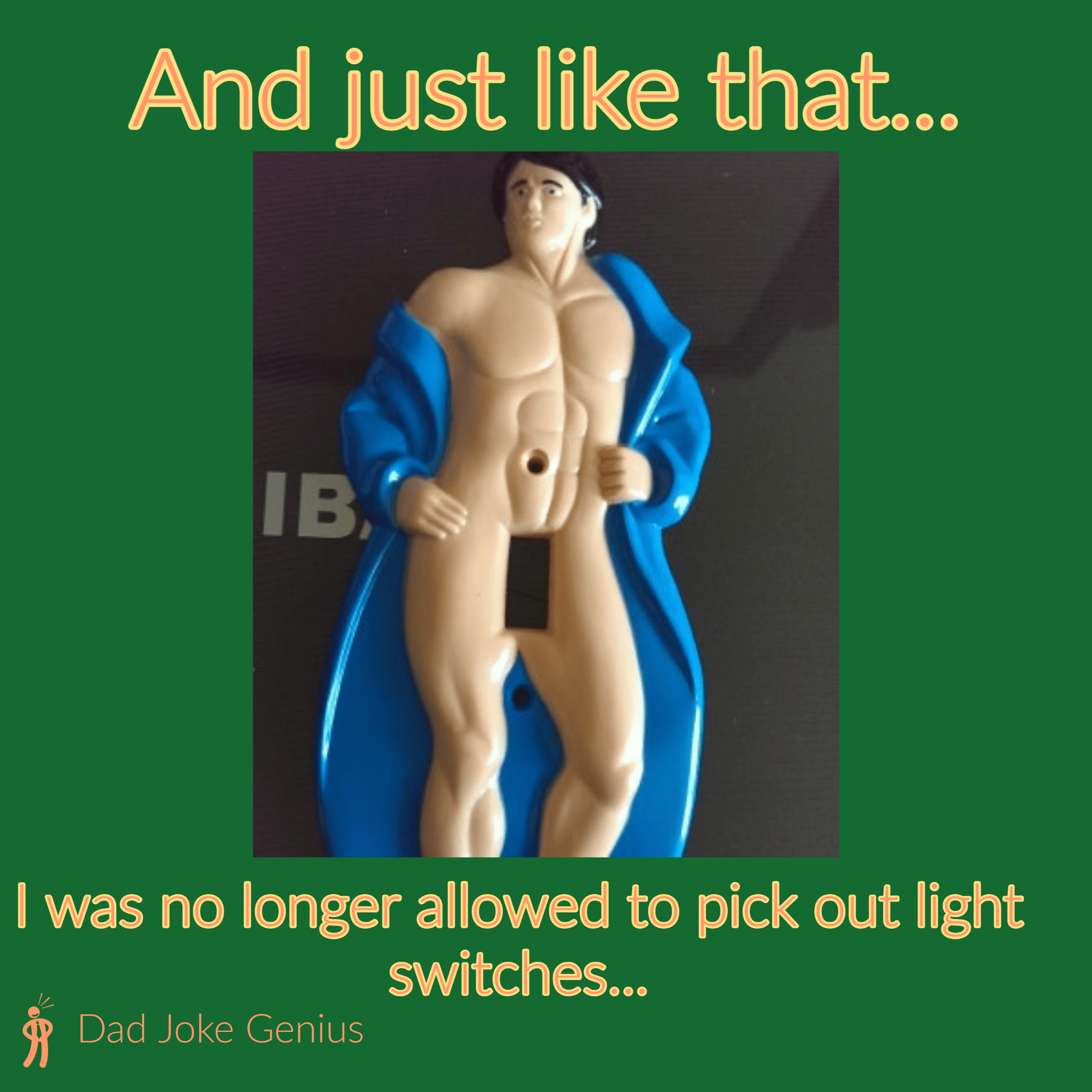 And just like that... I was no longer allowed to pick out light switches...