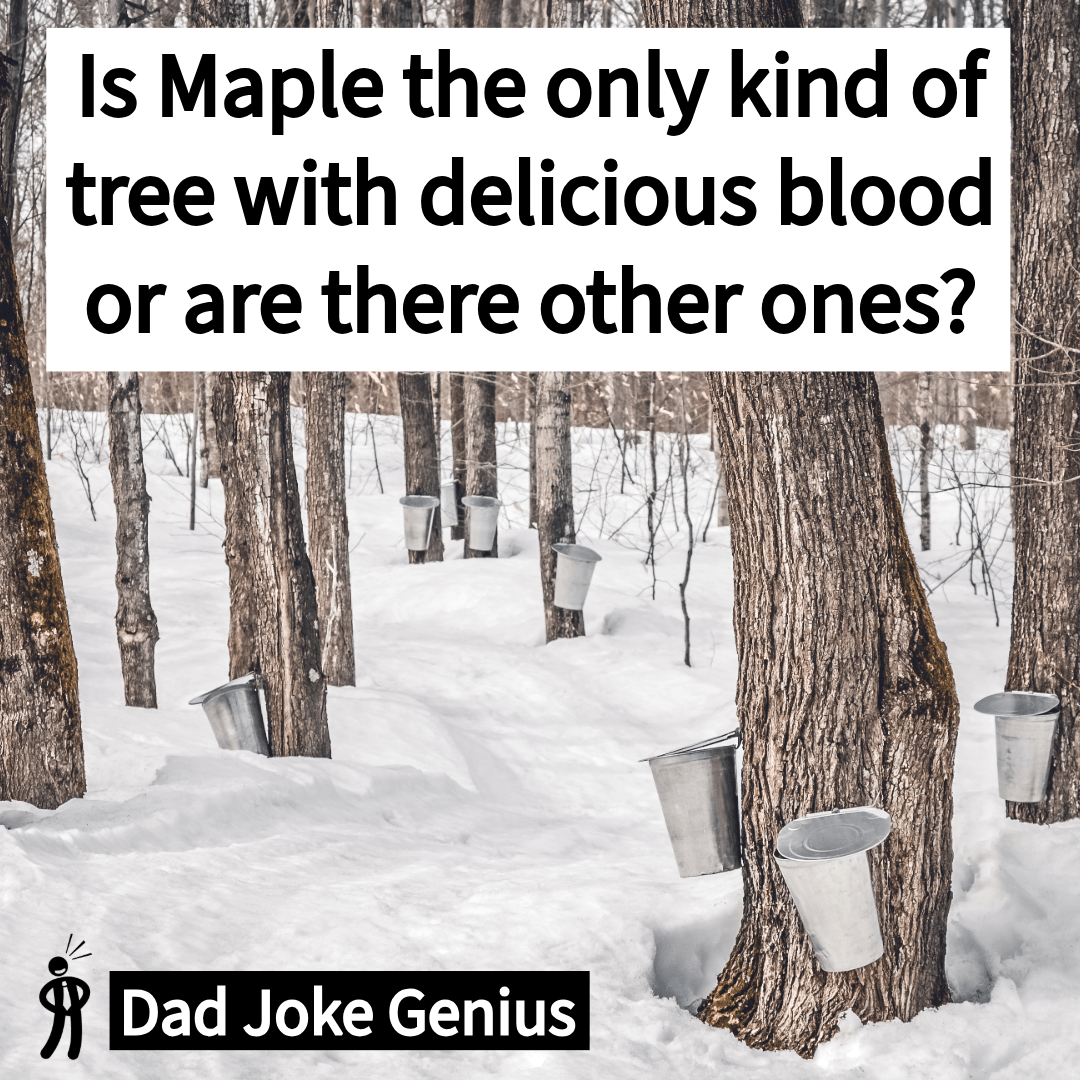 Is Maple the only kind of tree with delicious blood or are there other ones?