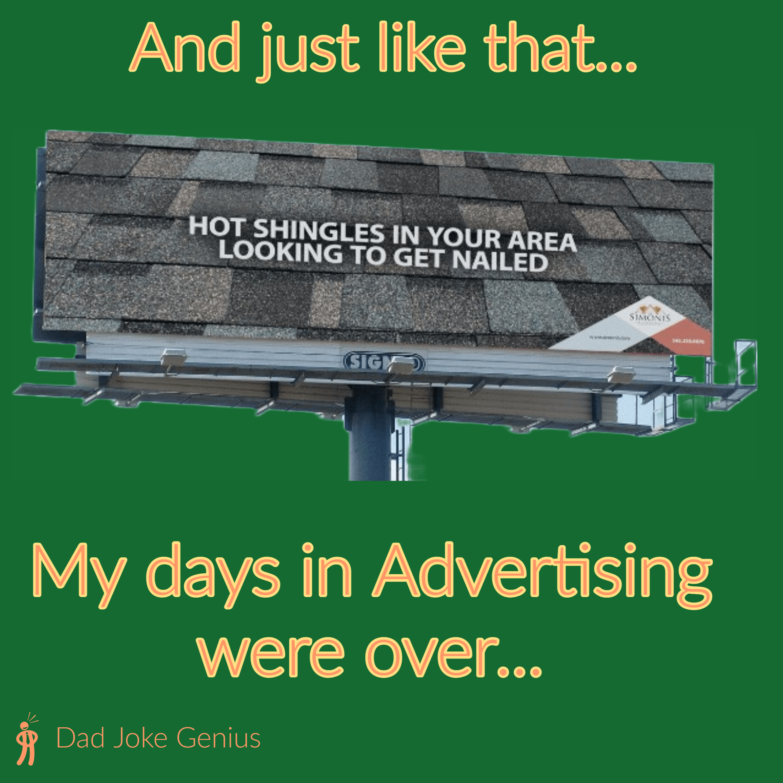 HOT SHINGLES IN YOUR AREA LOOKING TO GET NAILED My days in Advertising were over...