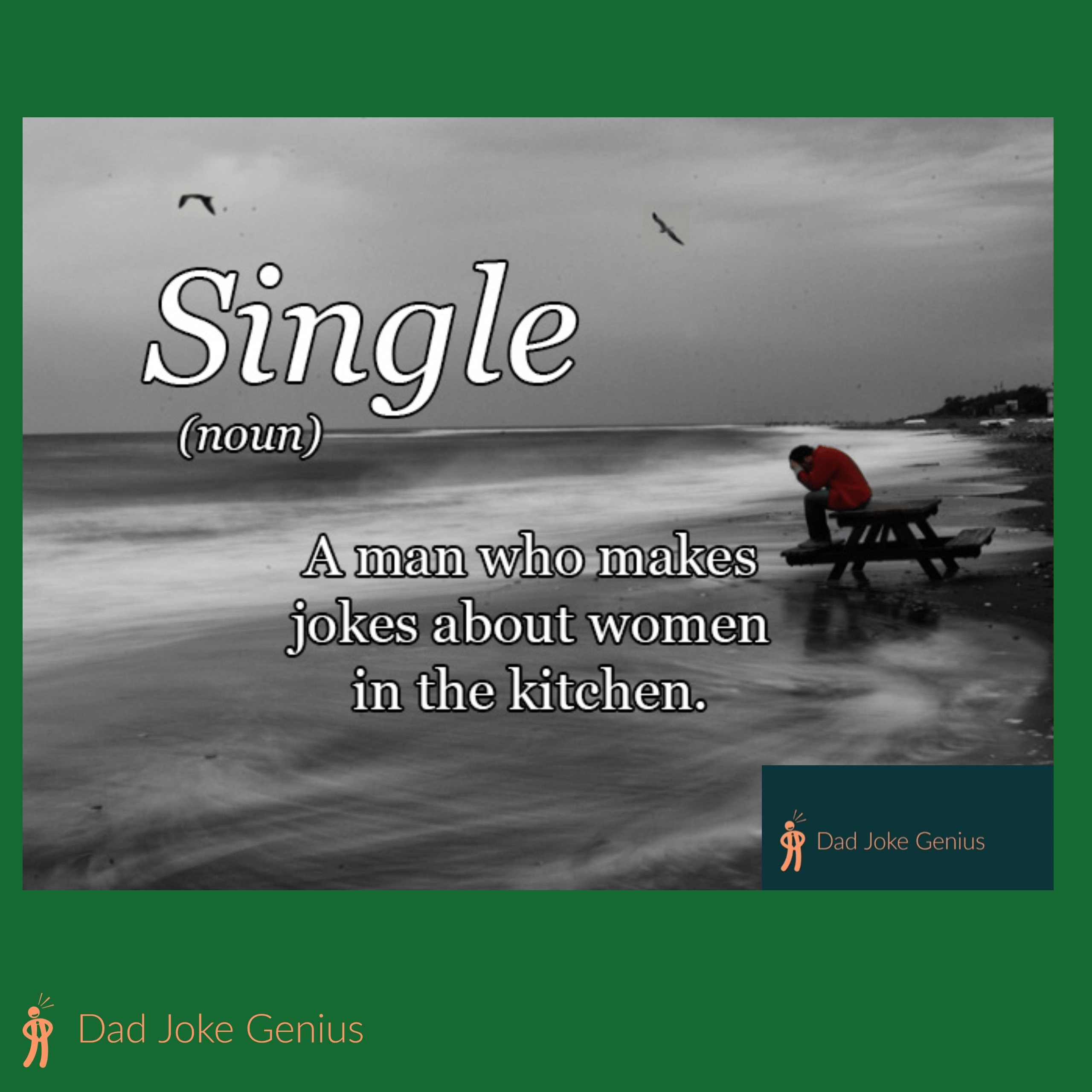 Single (noun) A man who makes jokes about women in the kitchen.