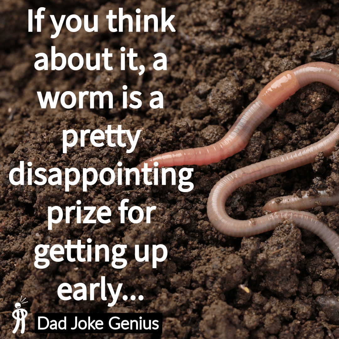 If you think about it, a worm is a pretty disappointing prize for getting up early...
