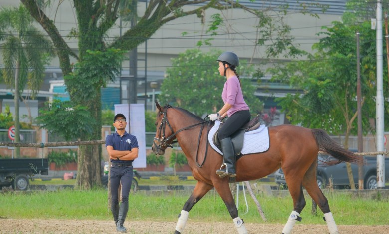 Best Job Careers For Equestrian Enthusiasts 1 Best Job Careers For Equestrian Enthusiasts