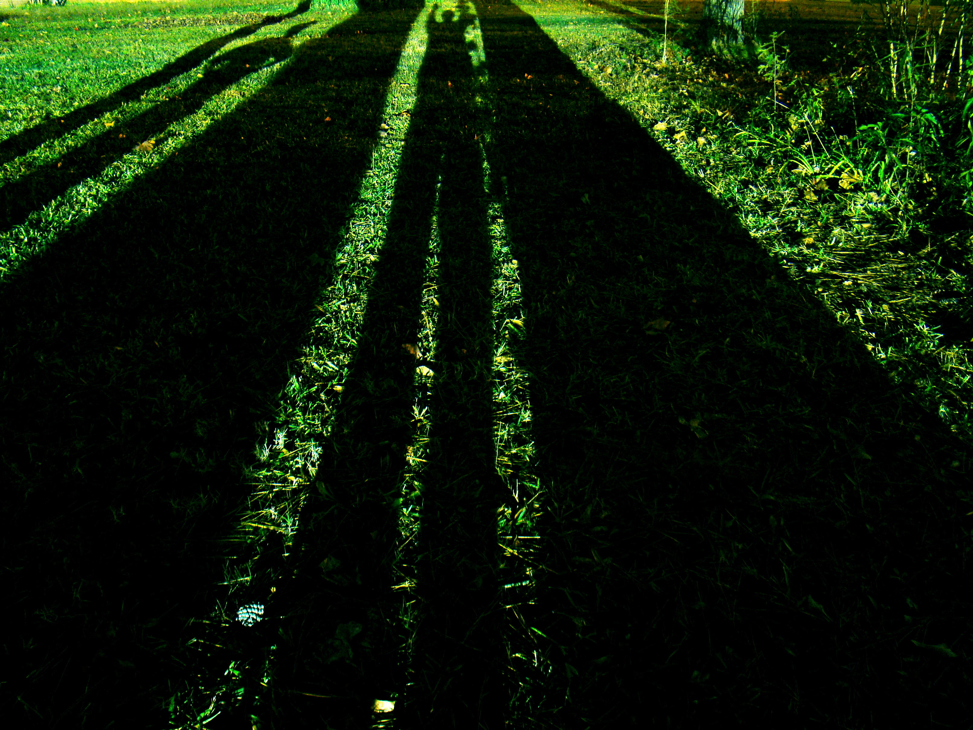 24X20 Digital Print on Picture Frame