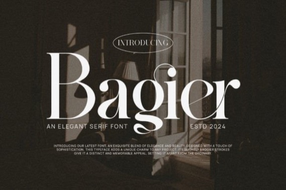 Bagier Font free