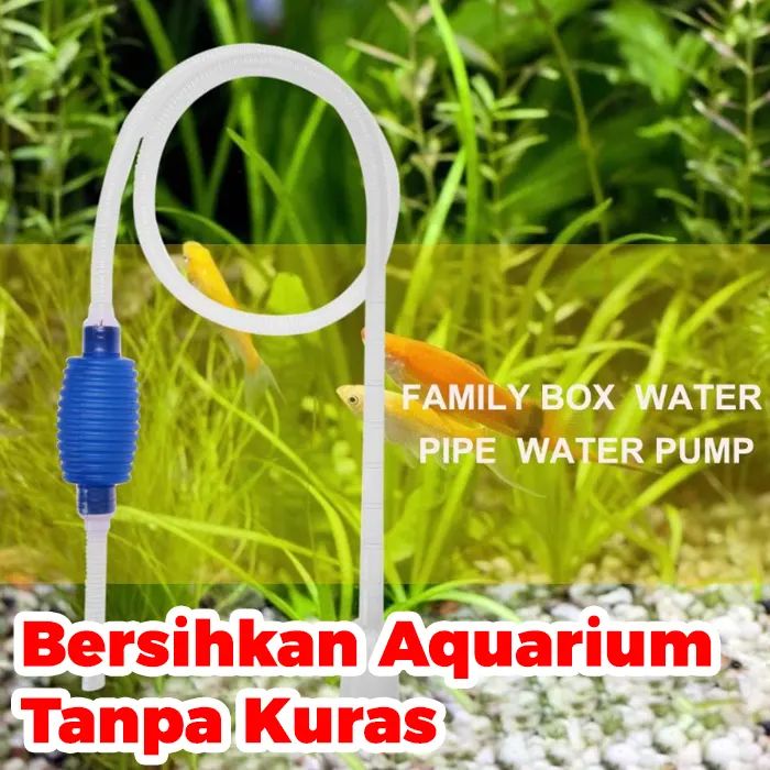 Gravitypope Zan Pump In Black - Perfect Landscape Art - 8K