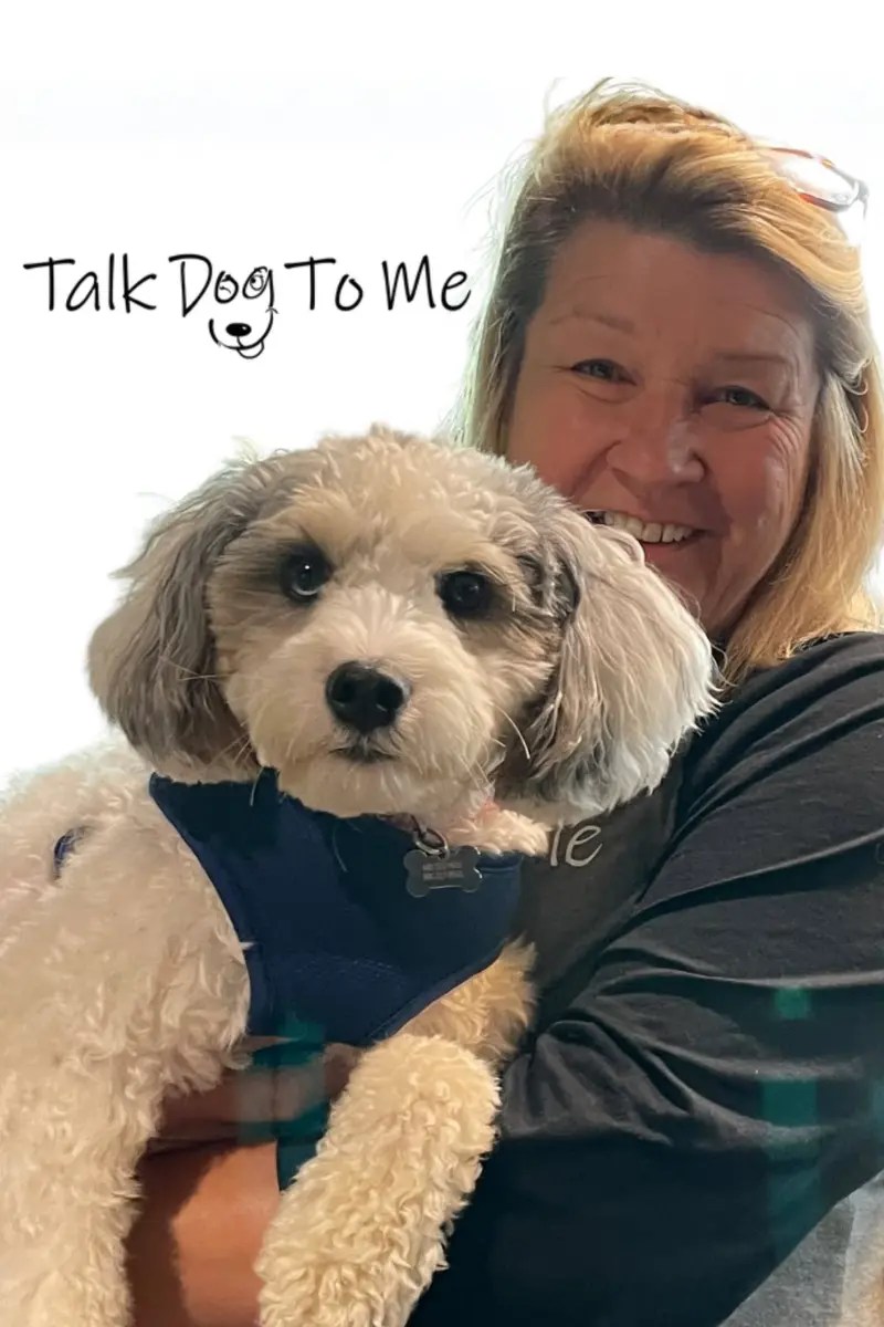 Karen and Sophie the dog, owners of Talk Dog To Me with the company logo