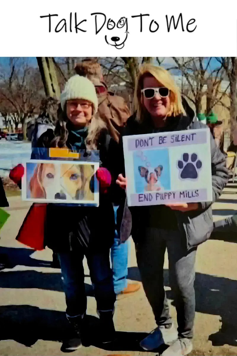 Karen, owner of Talk Dog To Me is standing next to another protestor, holding a sign that reads End Puppy Mills
