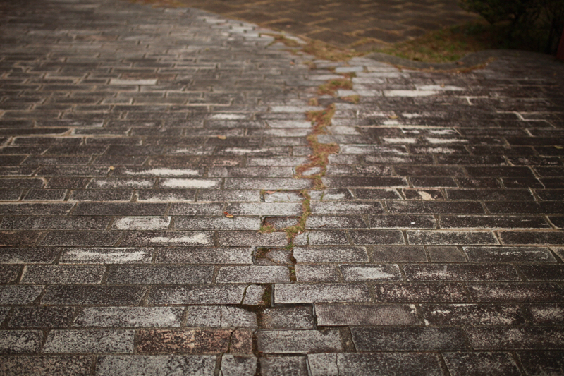 関東に再び移住。