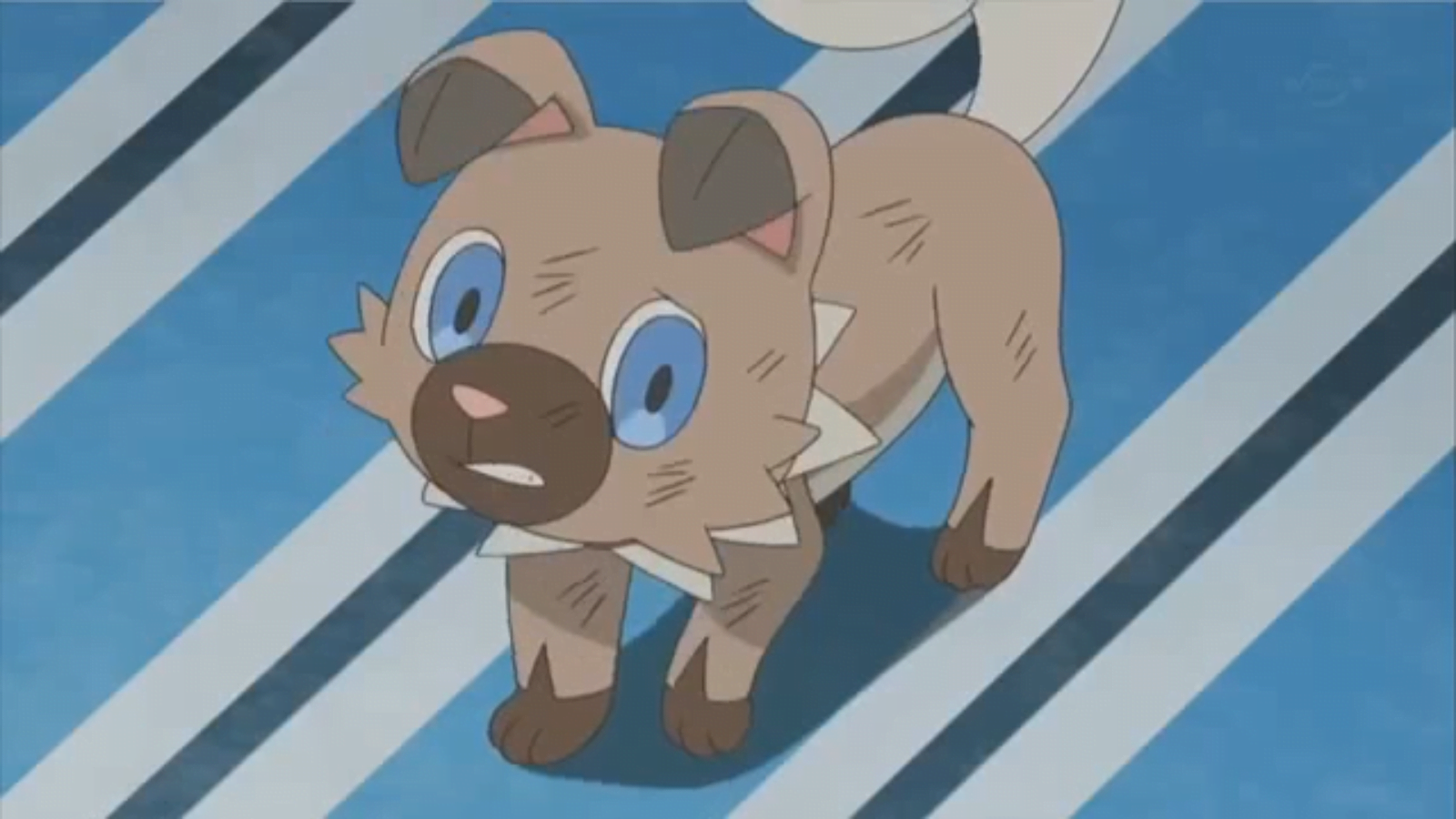 Rockruff Hentai