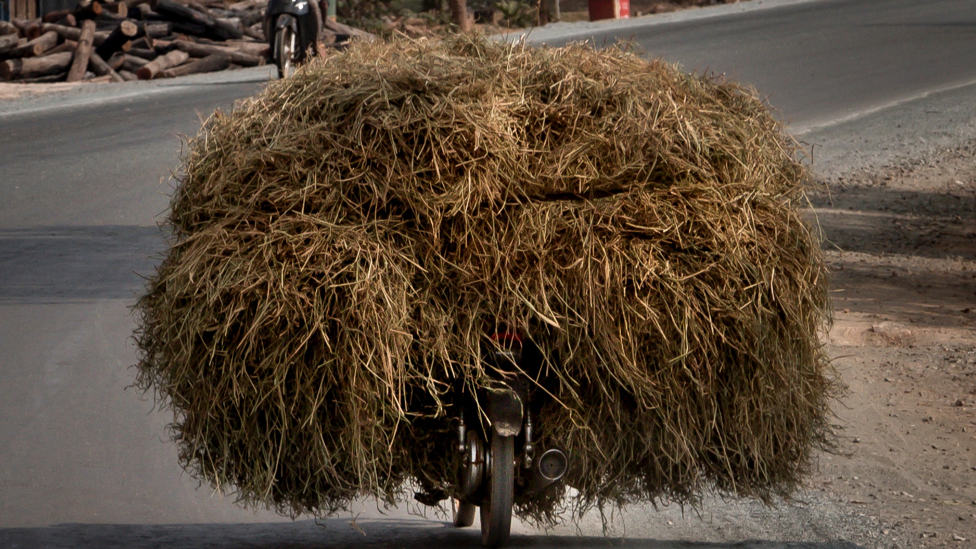 College is a journey … via motorcycle