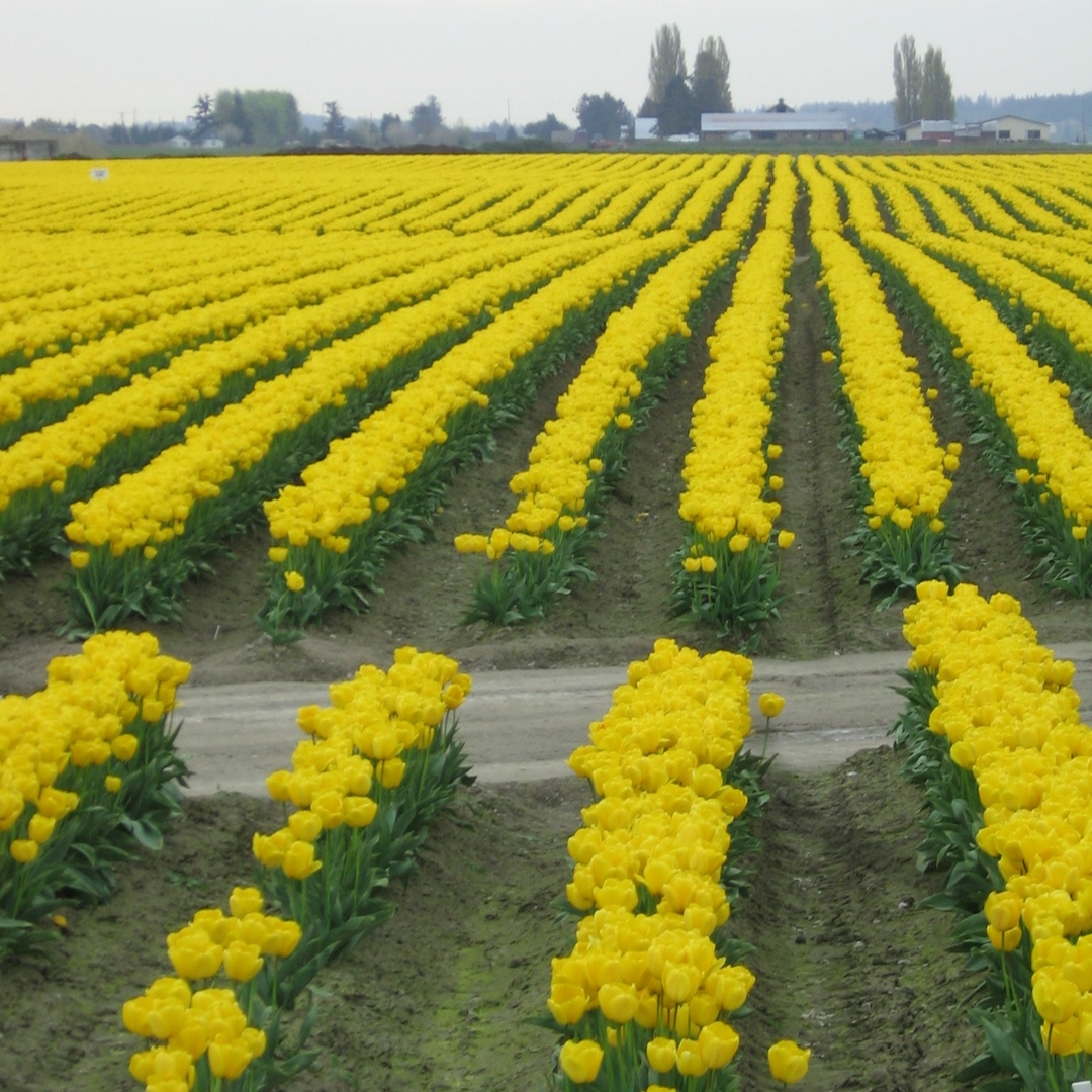 Brighten your corner