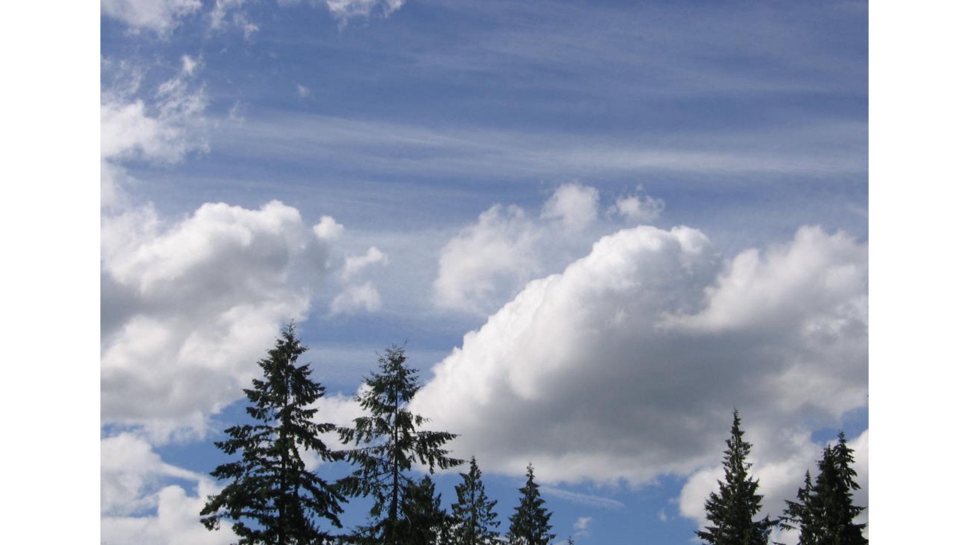 Love in the Little Things