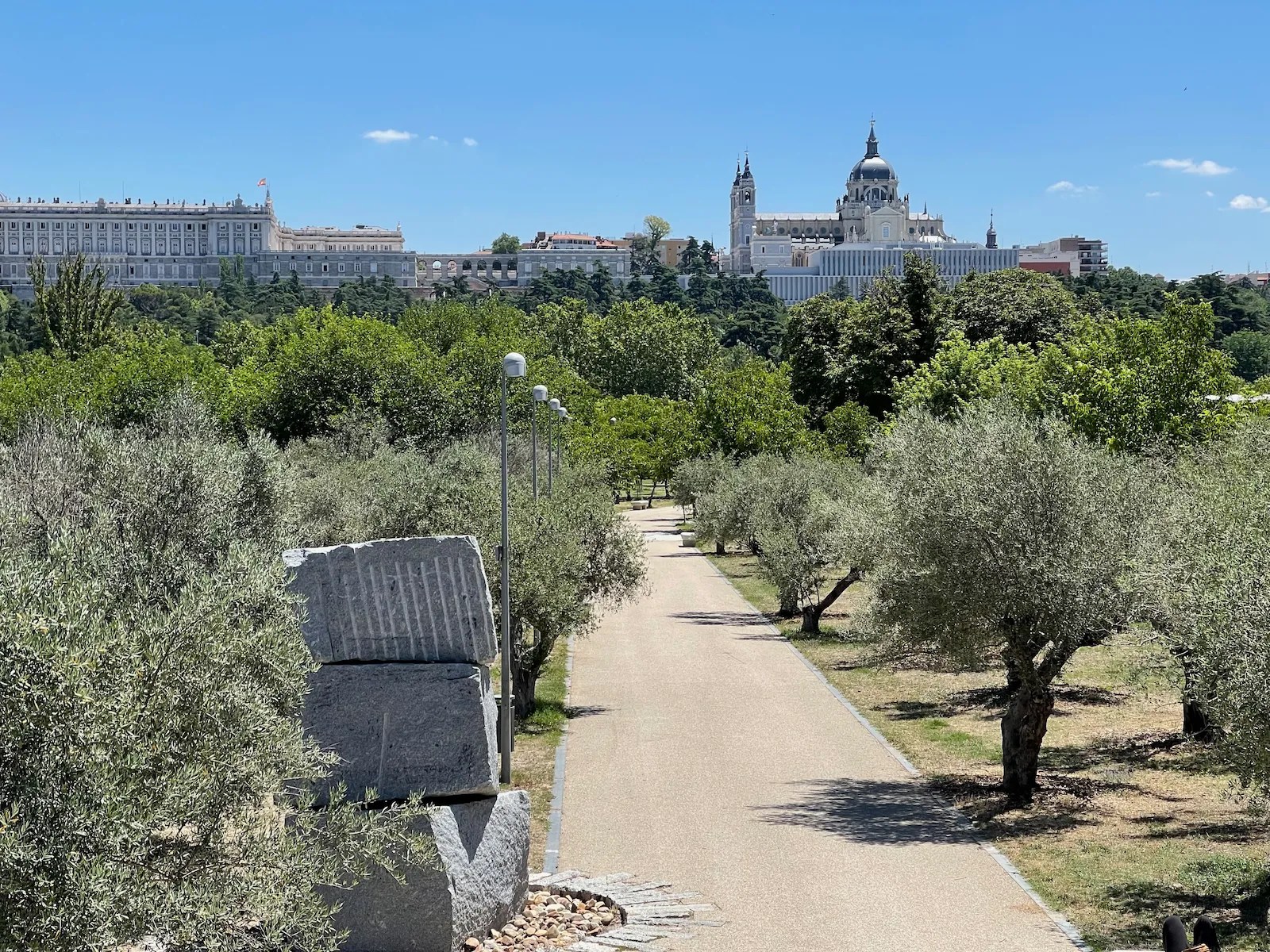A tree-lined path in Casa de Campo park leads toward the Royal Palace and Almudena Cathedral in the distance. Clear skies highlight the landscape. This alt text was generated by AI.