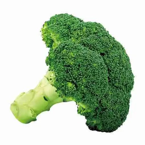 Broccoli