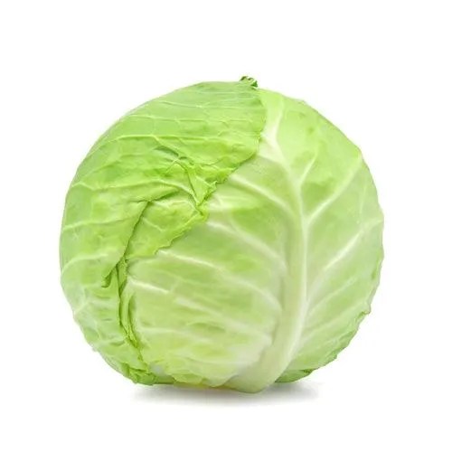 Cabbage-Green