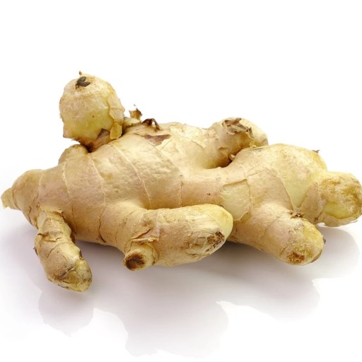 Ginger