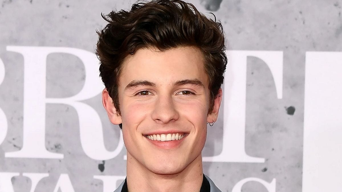 Here's Looking At All Of Shawn Mendes' 14 Body Tattoos And Their Significance - Daily India News 675_x_1200_jpg