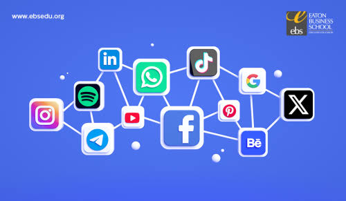 Social media, internet, negatively affect students’ performance, say experts